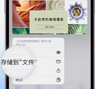 闽清apple维修中心分享iPhone文件应用中存储和找到下载文件