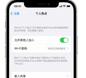 闽清apple服务站点分享iPhone上个人热点丢失了怎么办 