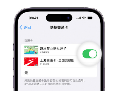 闽清apple维修点分享iPhone上更换Apple Pay快捷交通卡手绘卡面 