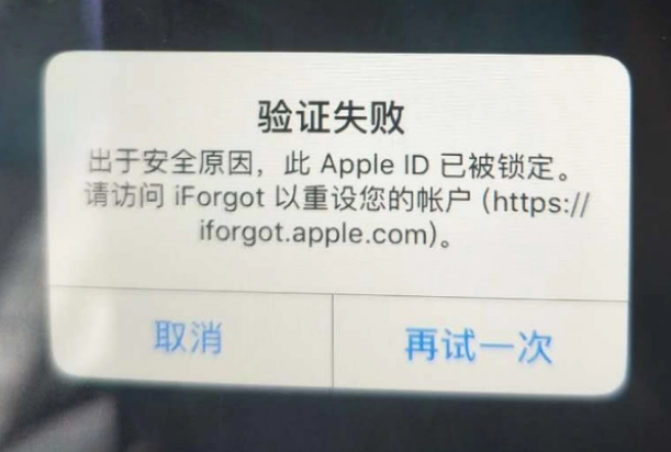 闽清iPhone维修分享iPhone上正常登录或使用AppleID怎么办 