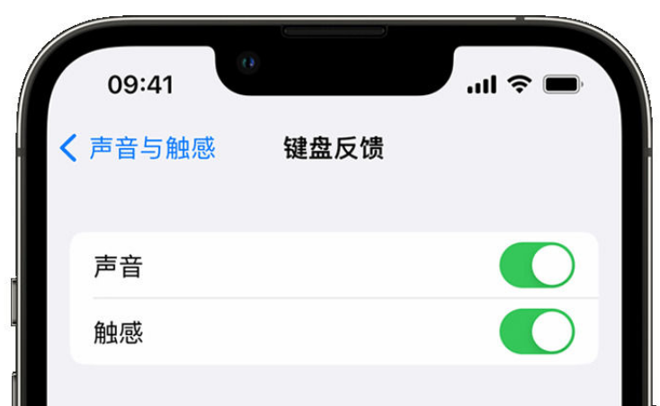 闽清苹果手机维修分享iPhone 14触感键盘使用方法 