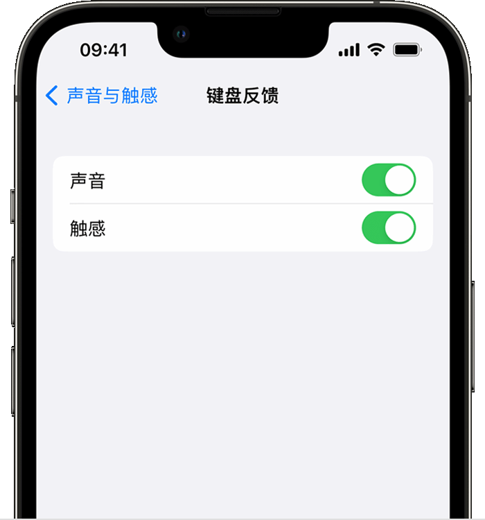 闽清苹果14维修店分享如何在 iPhone 14 机型中使用触感键盘 