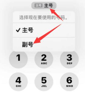 闽清苹果14维修店分享iPhone 14 Pro Max使用副卡打电话的方法 