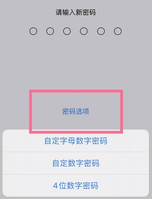 闽清苹果14维修分享iPhone 14plus设置密码的方法 