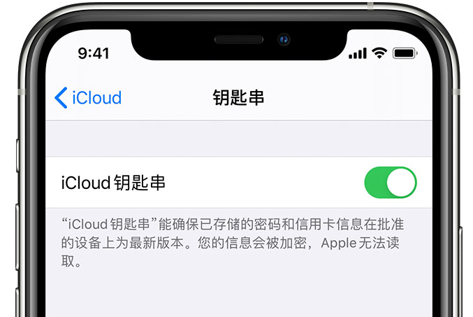 闽清苹果手机维修分享在 iPhone 上开启 iCloud 钥匙串之后会储存哪些信息 