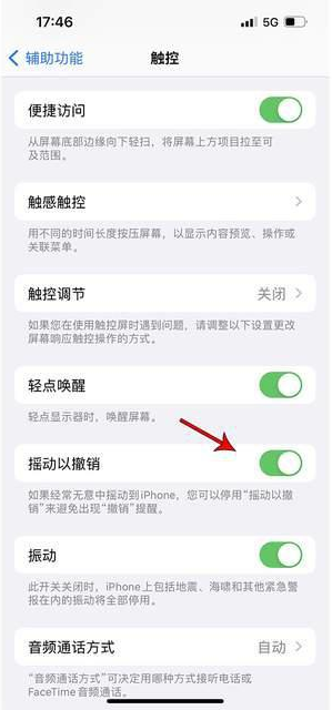 闽清苹果手机维修分享iPhone手机如何设置摇一摇删除文字 